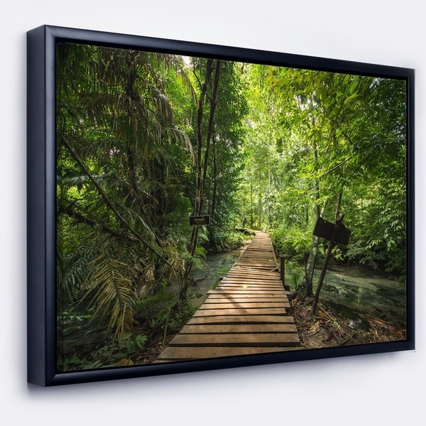 Designart 'Forest Way to Emerald Pool' Landscape Photo Framed Canvas Art Print