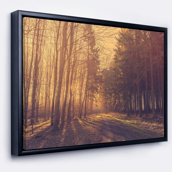 Shop Designart 'Pine Tree Forest by Road' Landscape Photo Framed Canvas ...