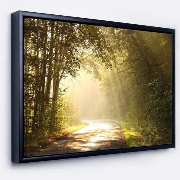 Designart 'Bright Sunlight in Fall Forest' Landscape Photo Framed Canvas Art Print