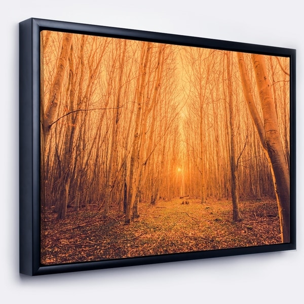 Designart 'Sunrise in a Forest with Tall Trees' Landscape Photography Framed Canvas Print