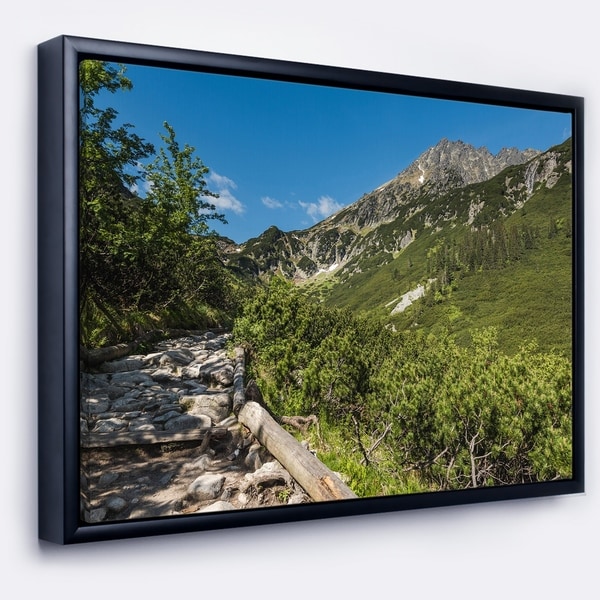 Designart 'Tourist Trail in High Mountains' Landscape Framed Canvas Art Print