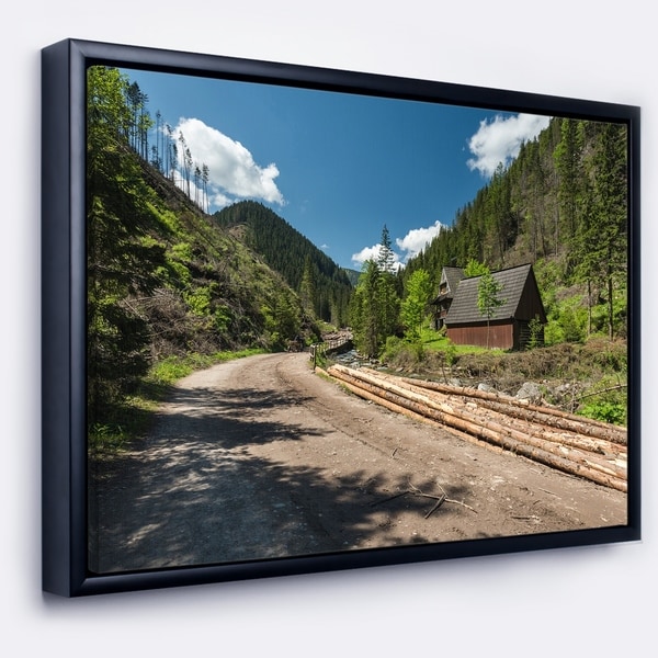 Designart 'Road in Chocholowska Valley' Landscape Framed Canvas Art Print