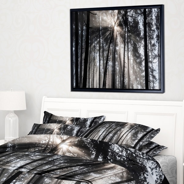Designart 'Sunbeams through Black White Forest' Forest Framed Canvas Wall Art Print
