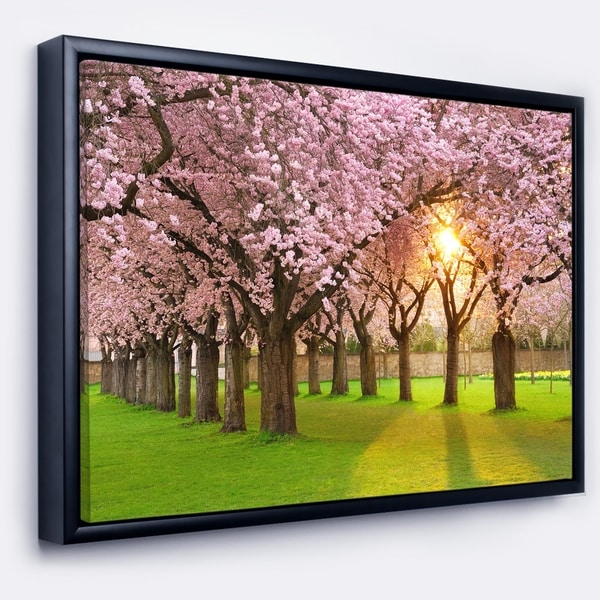 Designart 'Fascinating Springtime Cherry Scenery' Landscape Framed Canvas Art Print