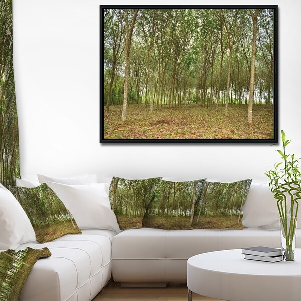 Designart 'Rubber Tree Plantation during Midday' Landscape Framed Canvas Art Print
