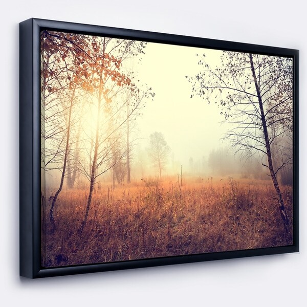 Designart 'Charming Rural Field in Morning' Landscape Framed Canvas Art