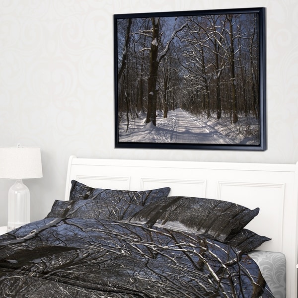 Designart 'Path on Sunny Winter Day in Park' Modern Forest Framed Canvas Art