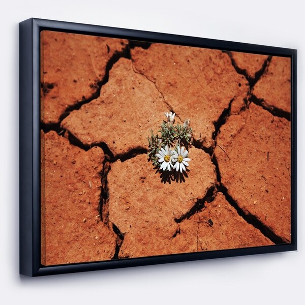Designart 'Surviving Flowers on Drought Land' Extra Large Landscape Framed Canvas Art