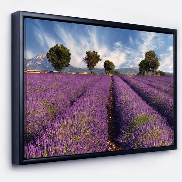 Designart 'Lavender Field on Windy Afternoon' Large Flower Framed Canvas Wall Art