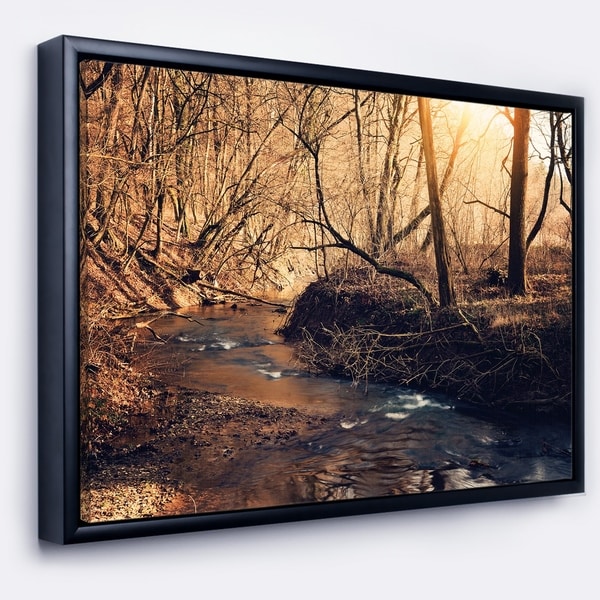 Designart 'Brown Creek in National Park' Modern Forest Framed Canvas Wall Art