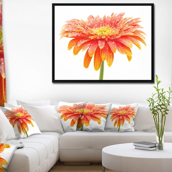 Designart 'Large Orange Gerbera on White' Floral Framed Canvas Art Print