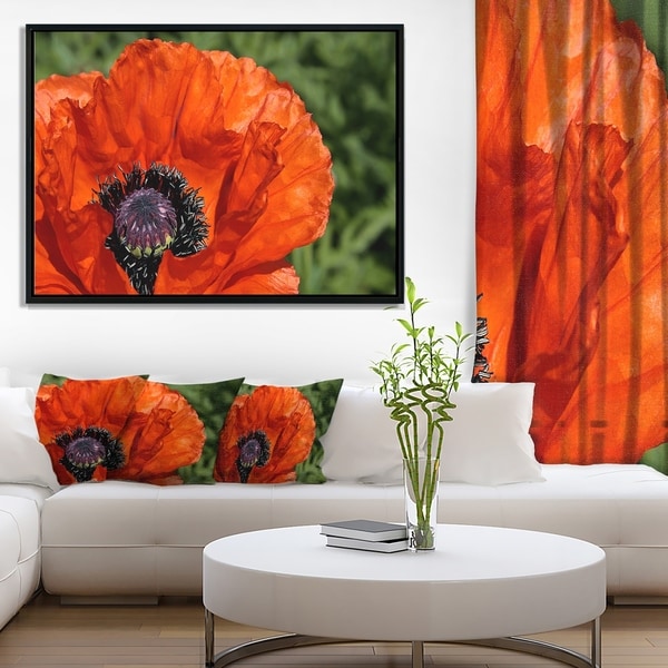 Designart 'Close Up View of Red Poppy Flower' Floral Framed Canvas Art Print