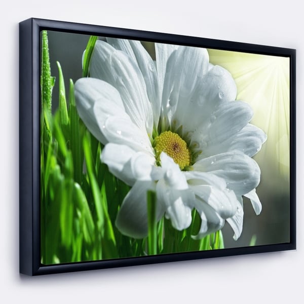 Designart 'Single Beautiful Daisy Flower' Large Flower Framed Canvas Art Print