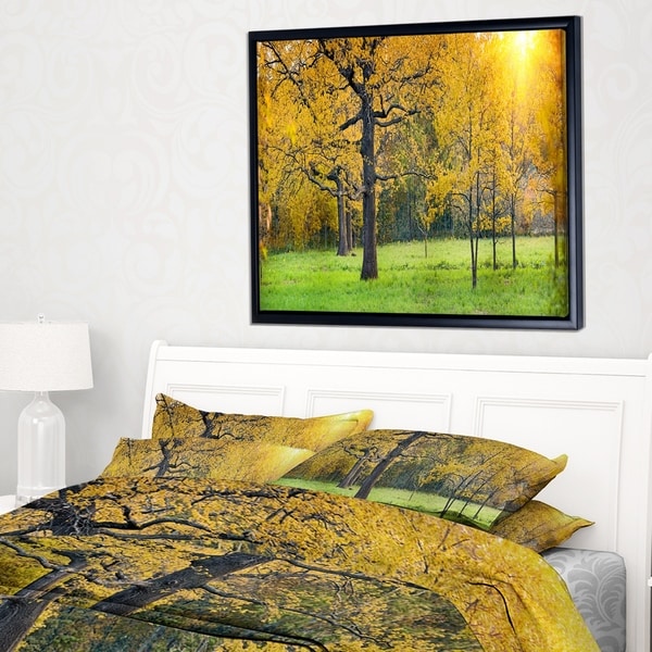 Designart 'Sunny Park with Oak Panorama' Large Landscape Framed Canvas Art
