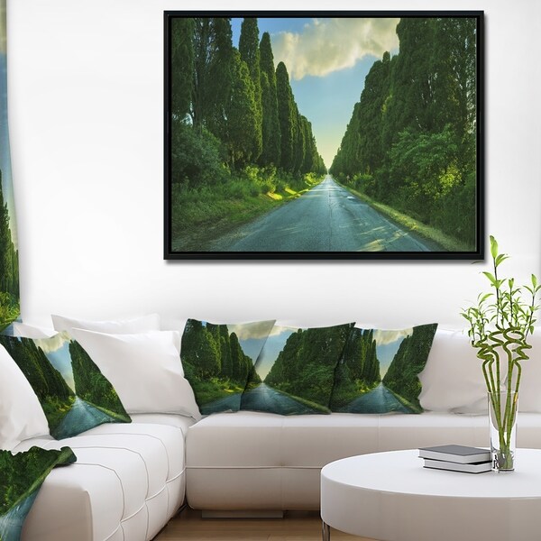 Designart 'Straight Cypress Trees Boulevard' Modern Landscape Framed Canvas Art