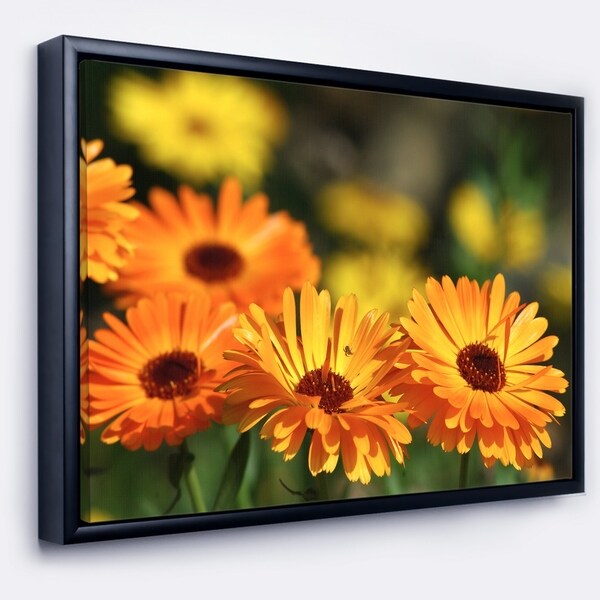 Designart 'Blooming Orange Marigold Flowers' Floral Framed Canvas Art Print