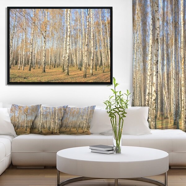 Designart 'Autumn Birch Grove in Sunlight' Modern Forest Framed Canvas Art