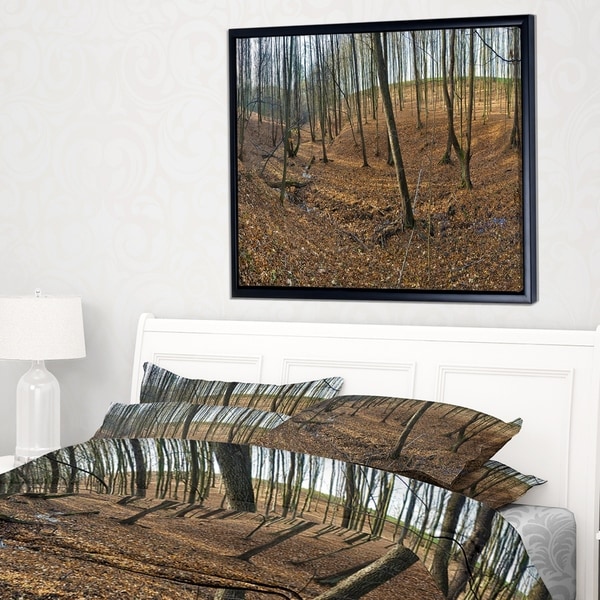 Designart 'Woods in Fall Forest Panorama' Forest Framed Canvas Art Print