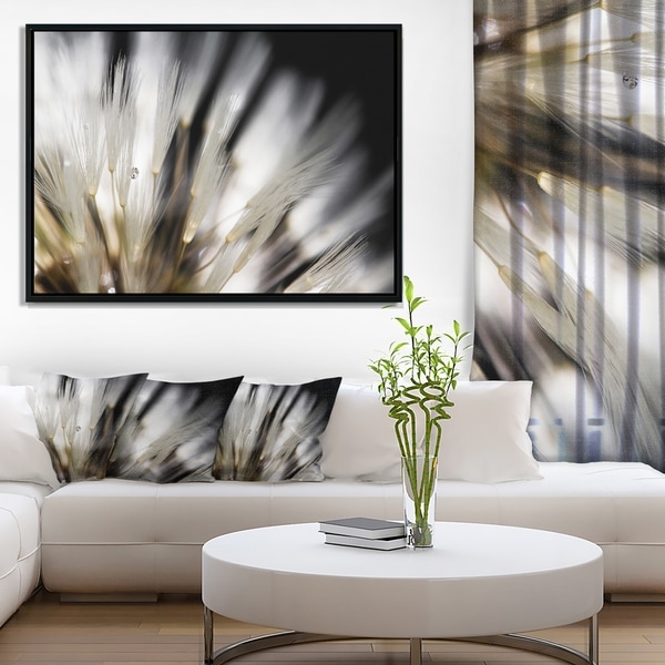 Designart 'Dandelion Close up with Dewdrops' Flowers Framed Canvas Wall Artwork