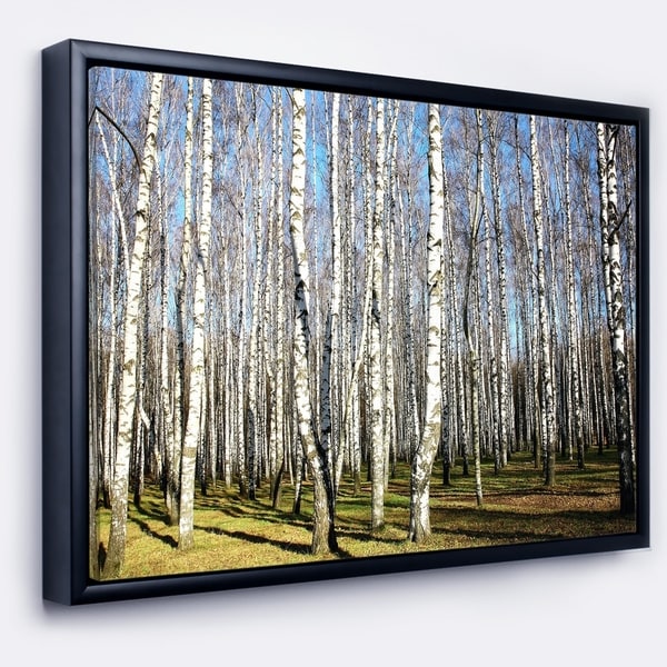 Designart 'Sunny Autumn Birch Grove' Modern Forest Framed Canvas Art