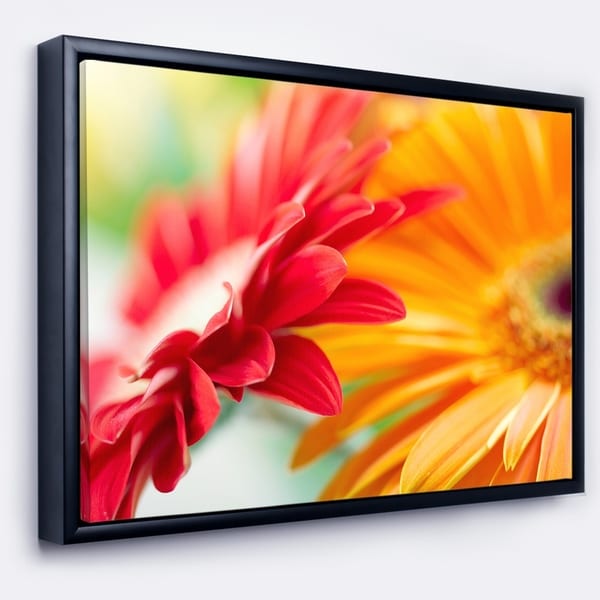 Designart 'Red and Yellow Daisy Flower' Floral Framed Canvas Art Print