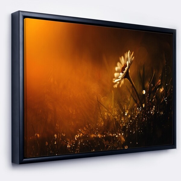 Designart 'White Wild Flower at Sunset After Rain' Large Floral Framed Canvas Art Print
