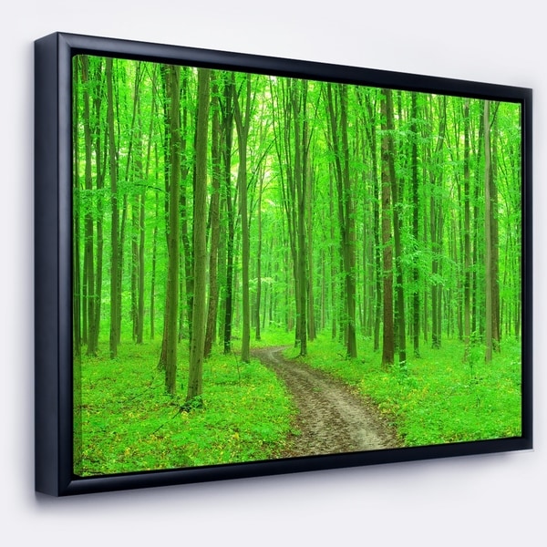 Designart 'Pathway in Bright Green Forest' Modern Forest Framed Canvas Art