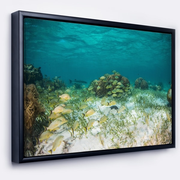 Designart 'School of Grunts with Baracuda' Seashore Framed Canvas Art Print