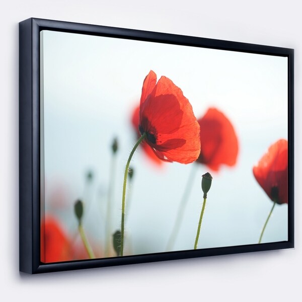 Designart 'Poppies on Background of Sea' Floral Framed Canvas Art Print
