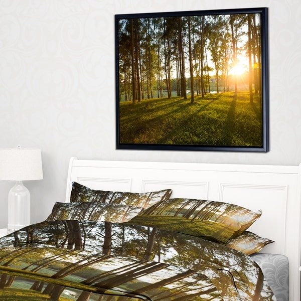 Designart 'Bright Sunlight in Dense Forest' Large Landscape Framed Canvas Art