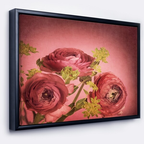 Designart 'Ranunculus Flowers Stem on Pink' Floral Framed Canvas Art Print