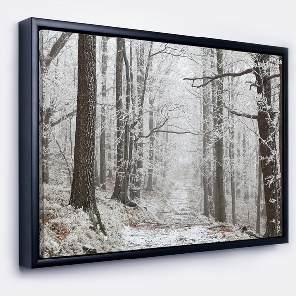 Designart 'Forest Trail on Winter Morning' Large Forest Framed Canvas Art Print