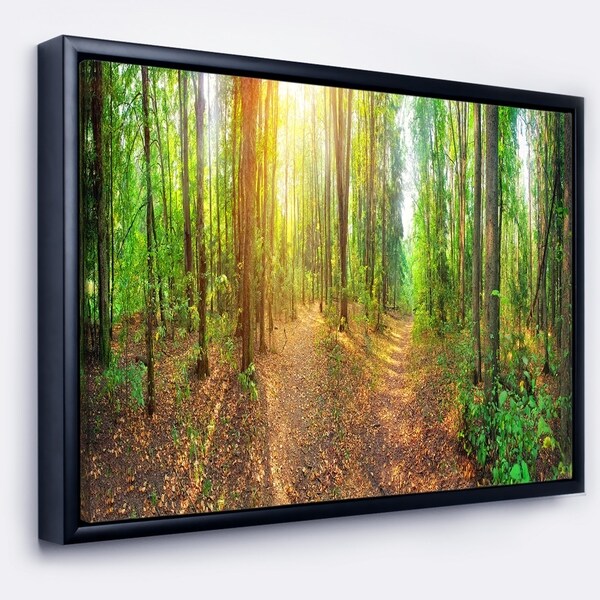 Designart 'Dense Forest Panorama' Landscape Framed Canvas Art Print