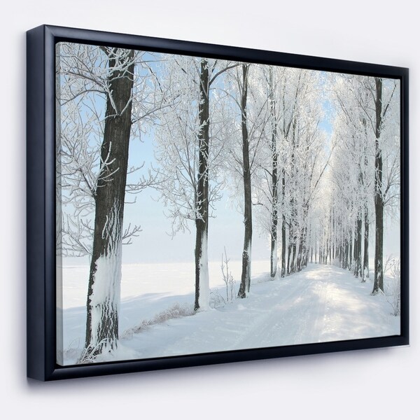Designart 'Beautiful Winter Forest Lane Photo' Large Forest Framed Canvas Art Print