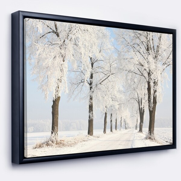 Designart 'Winter Lane on Sunny Morning' Forest Framed Canvas Art Print