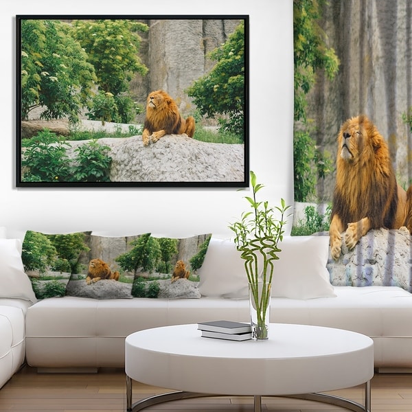 Designart 'Big Lion Lying On Stones in Zoo' Landscape Framed Canvas Art Print