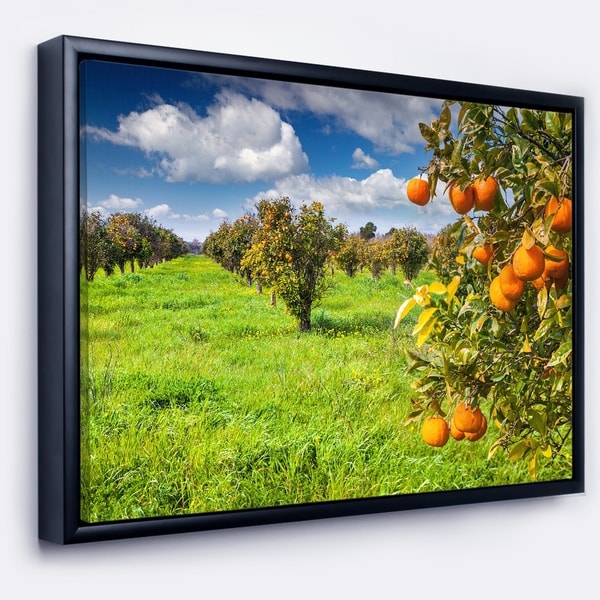 Designart 'Bright Green Grass in Orange Garden' Large Landscape Framed Canvas Art Print