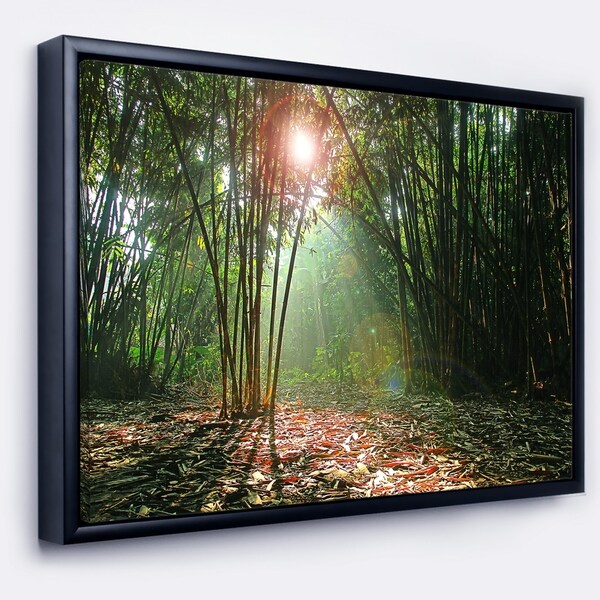 Designart 'Amazing Green Forest at Sunset' Landscape Framed Canvas Art Print