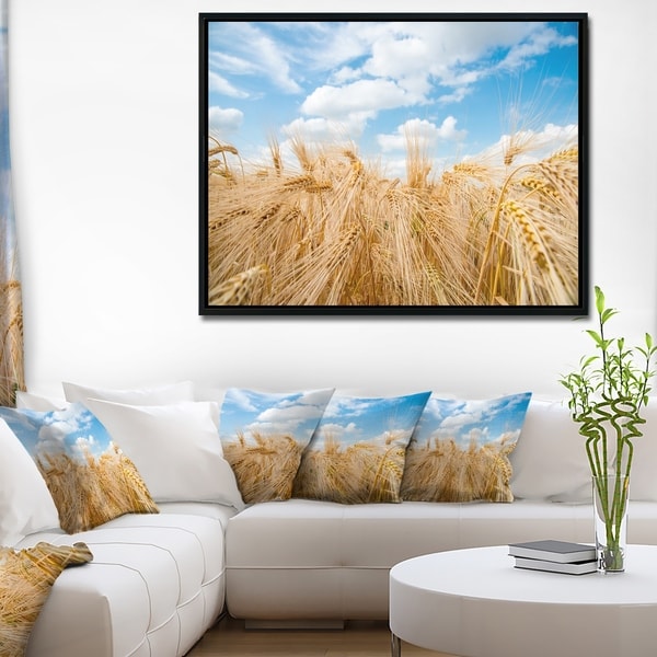 Designart 'Barley Field under Blue Sky' Landscape Framed Canvas Art Print