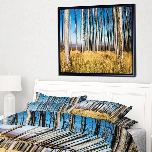 Designart 'Clear Sky and Bush in Thick Forest' Modern Forest Framed Canvas Art