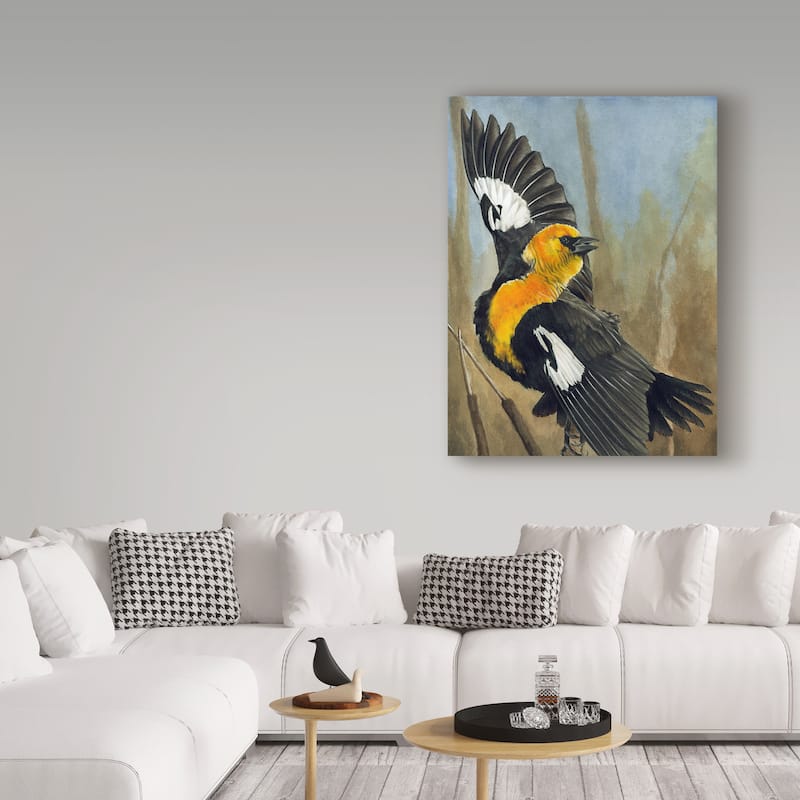 Barbara Keith 'The Flirt' Canvas Art - On Sale - Bed Bath & Beyond ...