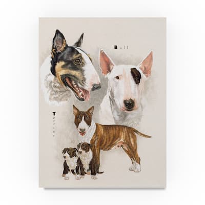 Barbara Keith 'Bull Terrier' Canvas Art