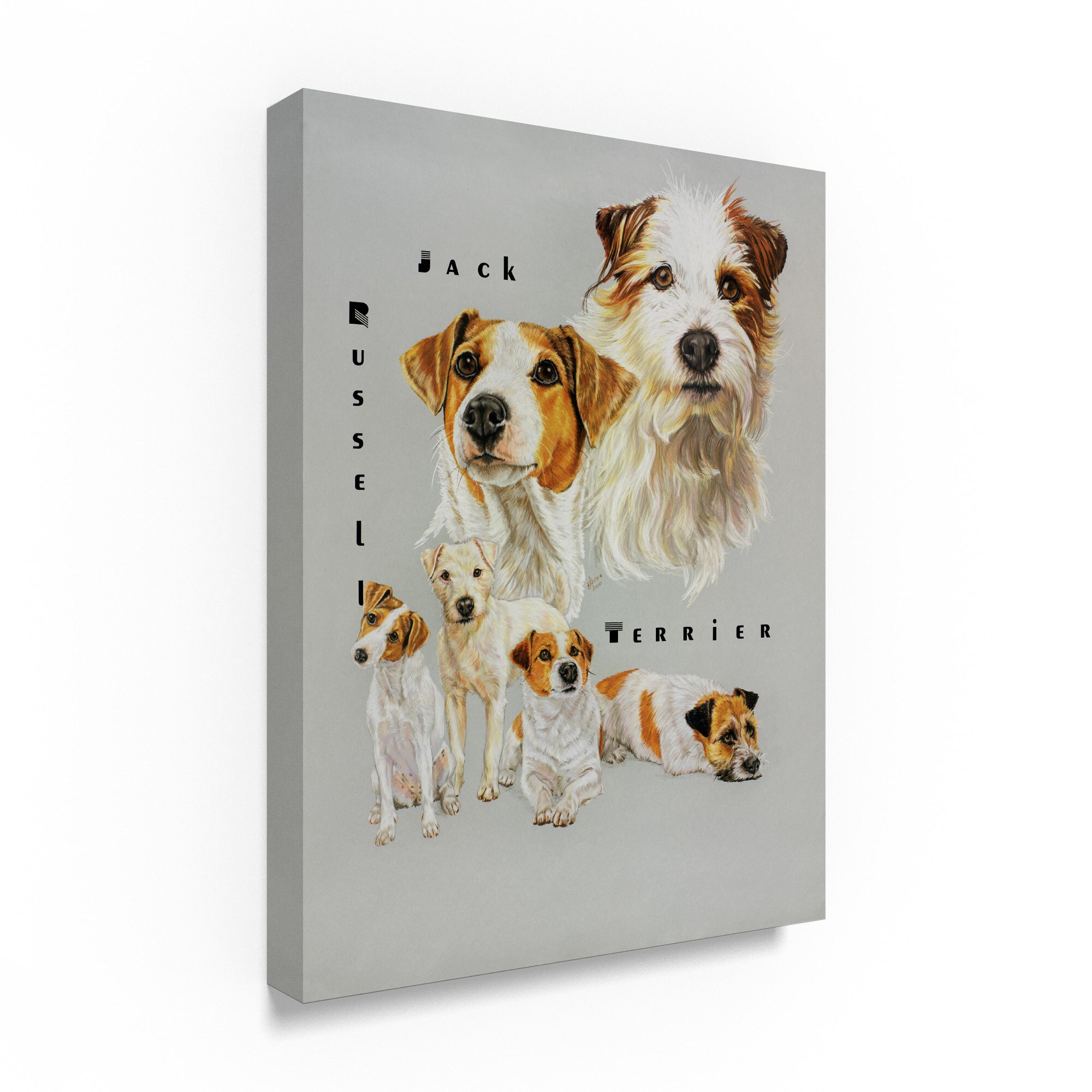 Shop Barbara Keith Jack Russell Terrier Canvas Art On Sale