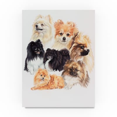 Barbara Keith 'Pomeranian' Canvas Art