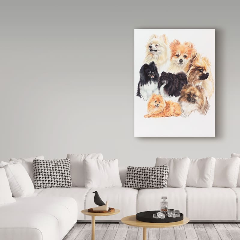 Barbara Keith 'Pomeranian' Canvas Art - Bed Bath & Beyond - 18967940