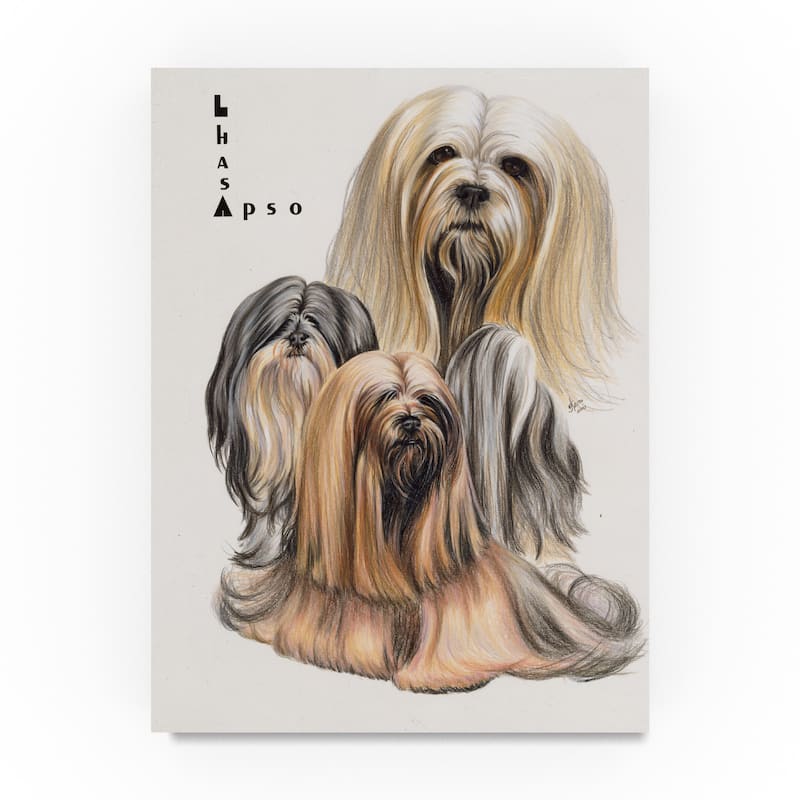 Barbara Keith 'Lhasa Apso' Canvas Art - Bed Bath & Beyond - 18968004