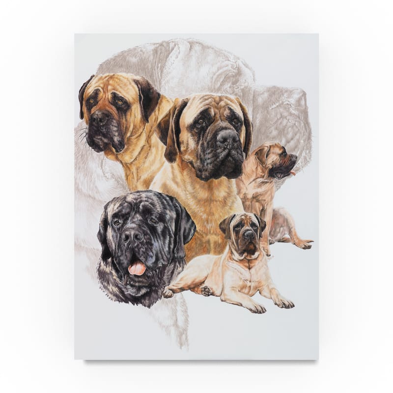 Barbara Keith 'Bull Mastiff With Ghost' Canvas Art