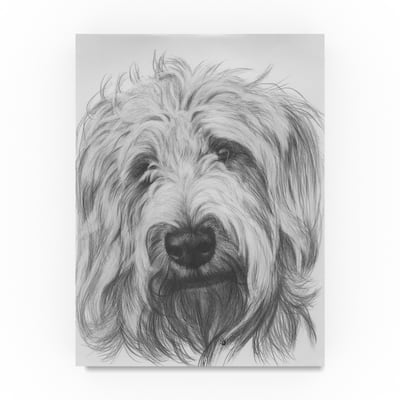 Barbara Keith 'Labradoodle' Canvas Art