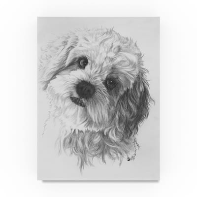 Barbara Keith 'Cavachon' Canvas Art