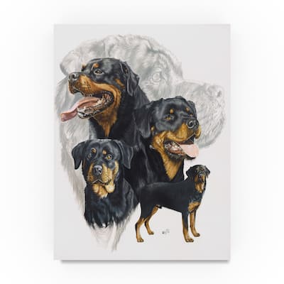 Barbara Keith 'Rottweiler Illustration' Canvas Art